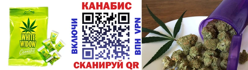 Купить закладки  Чехов  Cannafood конопля 