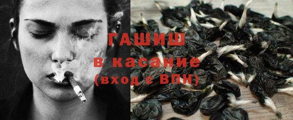 молекула духа Костерёво