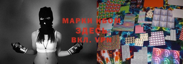 молекула духа Костерёво