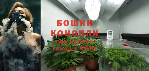 ECSTASY Коряжма