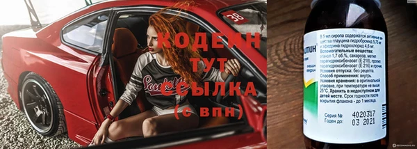 молекула духа Костерёво