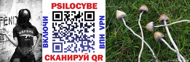 Псилоцибиновые грибы Magic Shrooms  Купить закладки  Чехов 